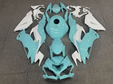 Aqua 2019-2023 Kawasaki ZX6R Motorrad Verkleidung