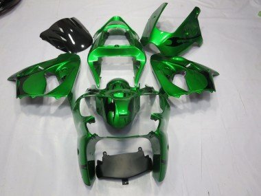 Grün 2000-2002 Kawasaki ZX6R Motorrad Verkleidung
